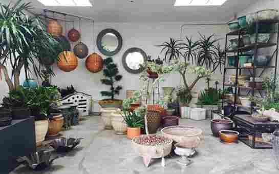 An L.A. Garden Emporium Is Reborn After a Fire