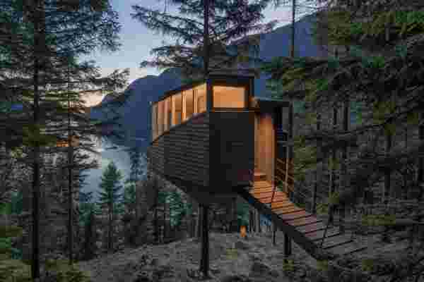 This treehouse built around a live pine tree reimagines your idea of architectural escapism!
