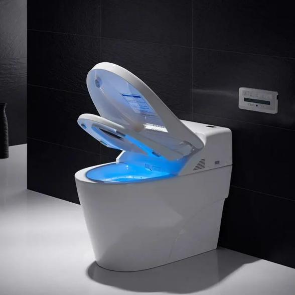 Intelligent Toilet Facilitates Life