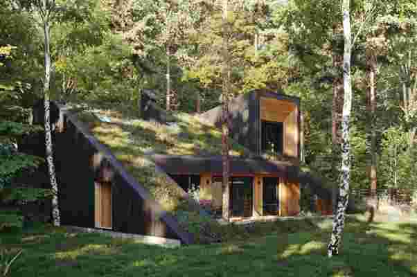 This passive house features a living green roof that merges the home with its forested surroundings!