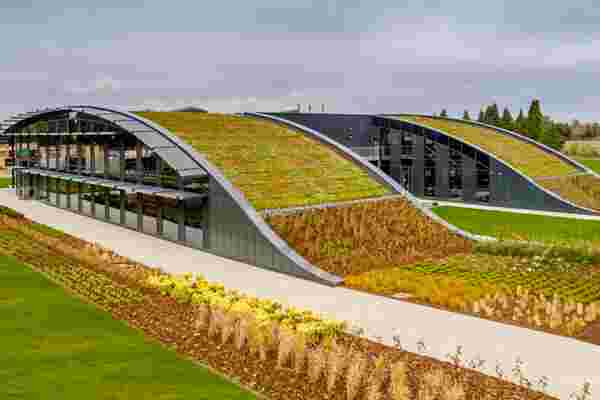 This sustainable office building uses passive energy practices and promotes biodiversity with their green roof!