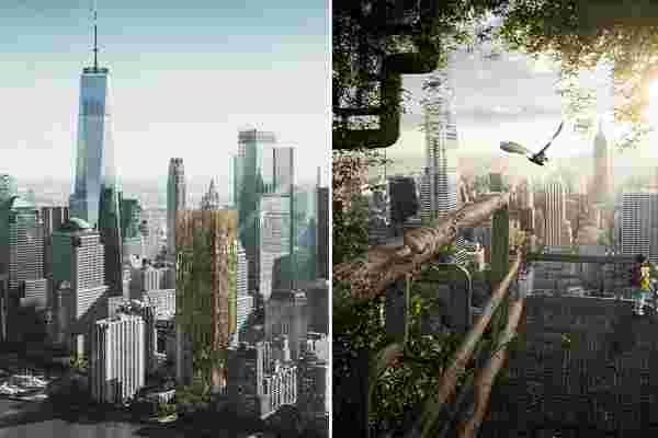 This skyscraper concept uses genetically modified trees to grow into a living architectural structure